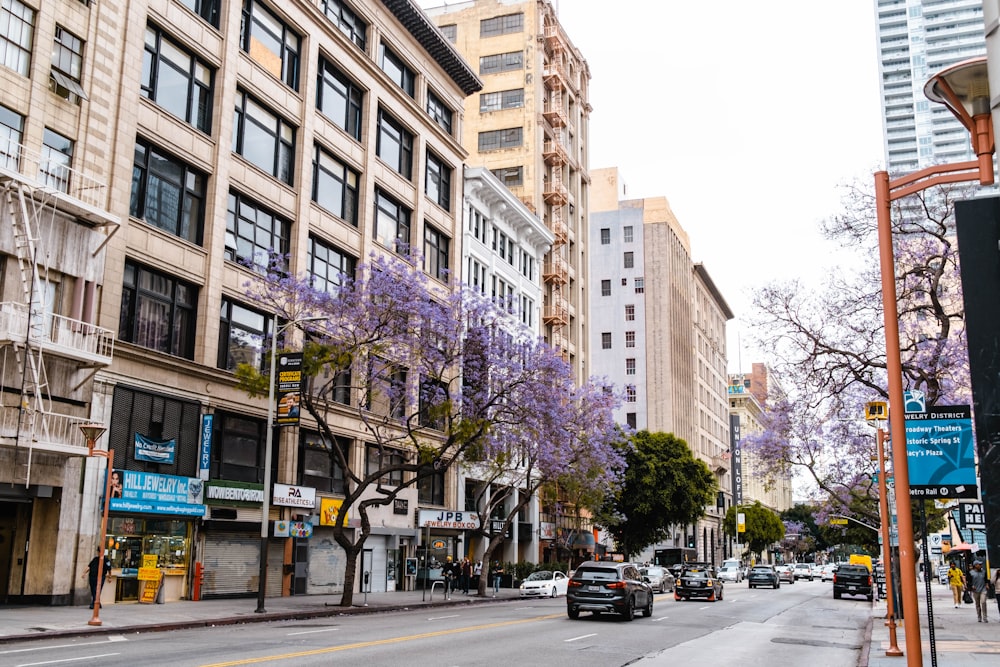 a city street lined with tall buildings and trees