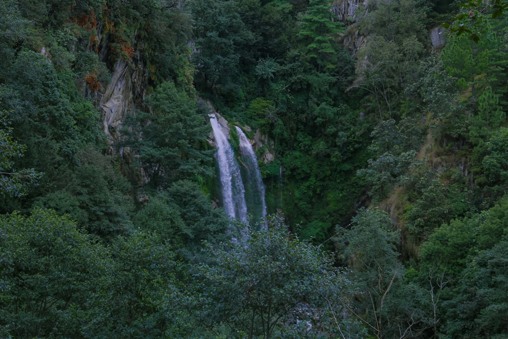 uma cachoeira no meio de uma floresta