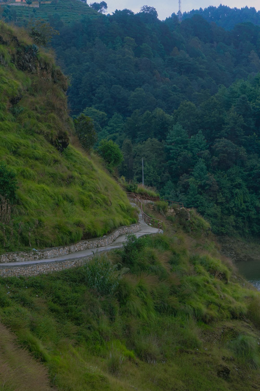 a train traveling along a lush green hillside next to a river