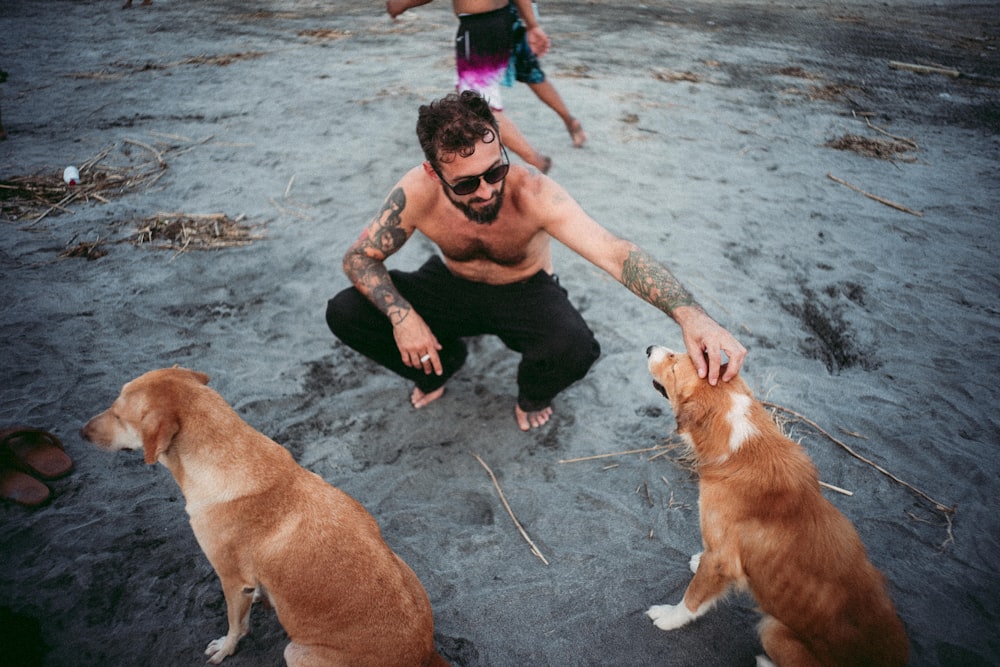 um homem e dois cachorros em uma praia