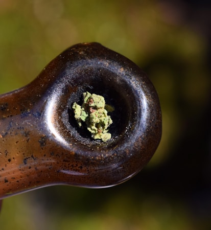 A close-up view of the bowl of a glass pipe containing green herbal material. The pipe is made of translucent brownish glass, and the focus is on the contents of the bowl. The background appears blurred with earthy tones.