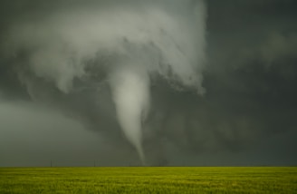 a large storm cloud looms over a green field
