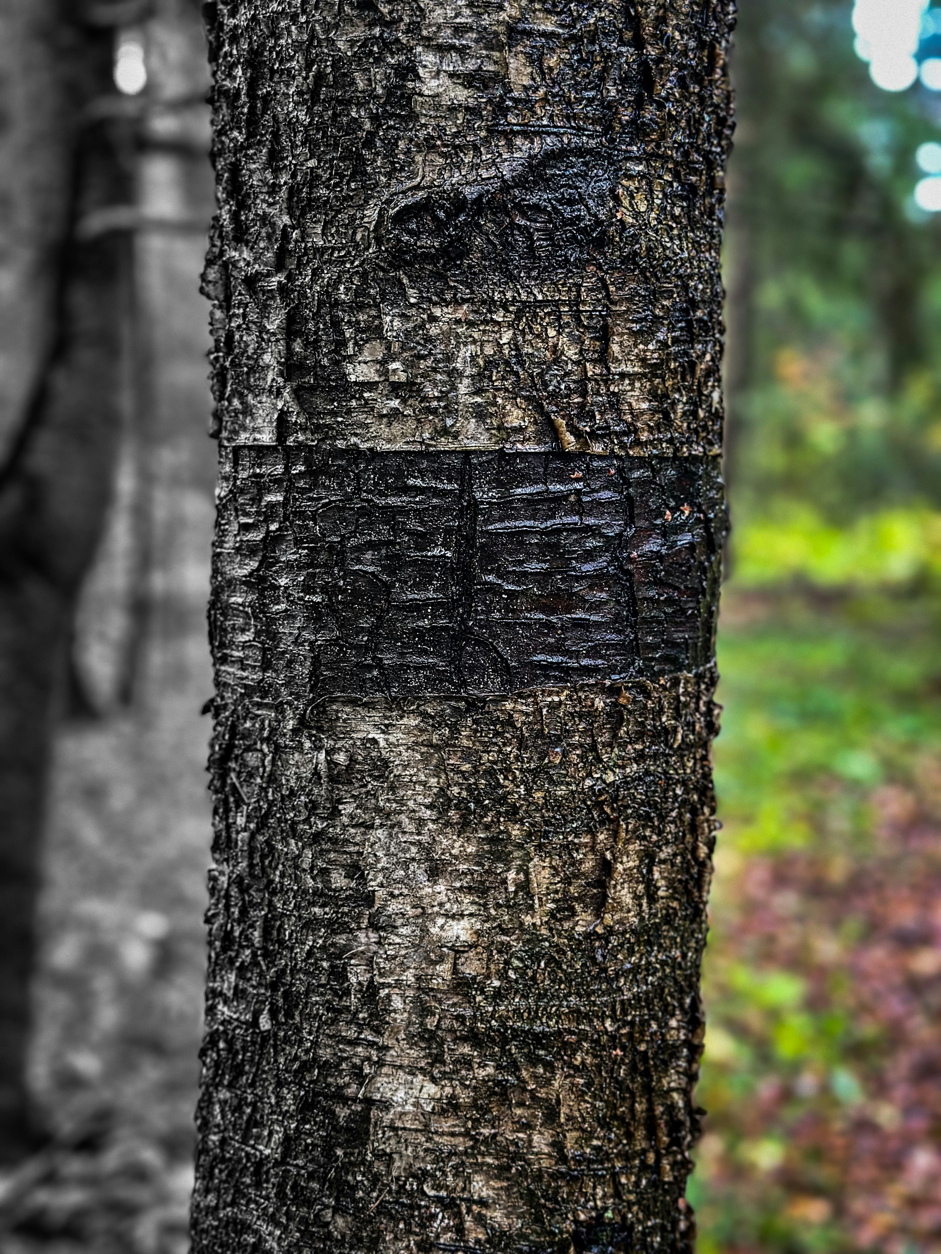 Photo by impossible999