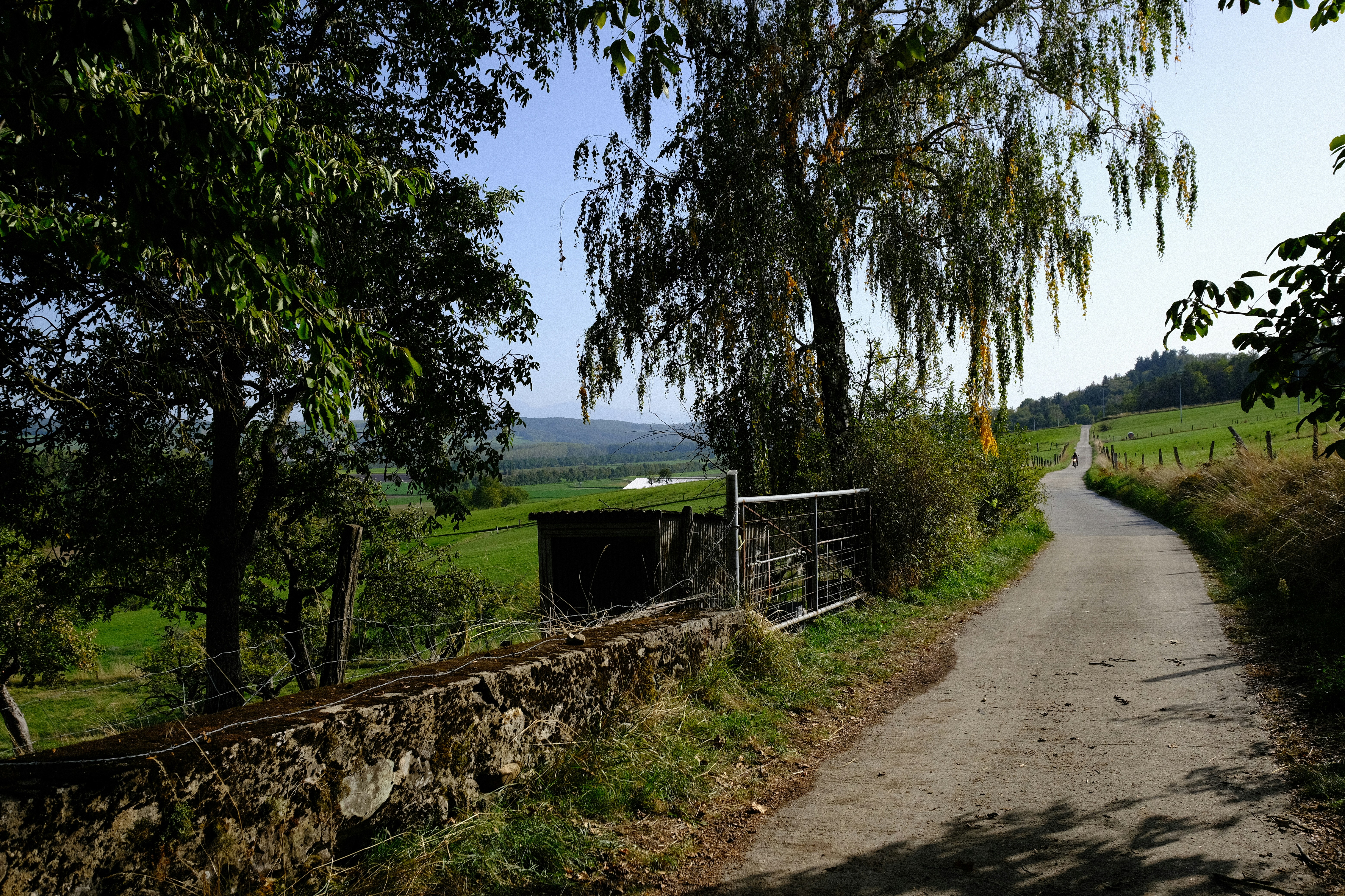 a dirt road next to a lush green field