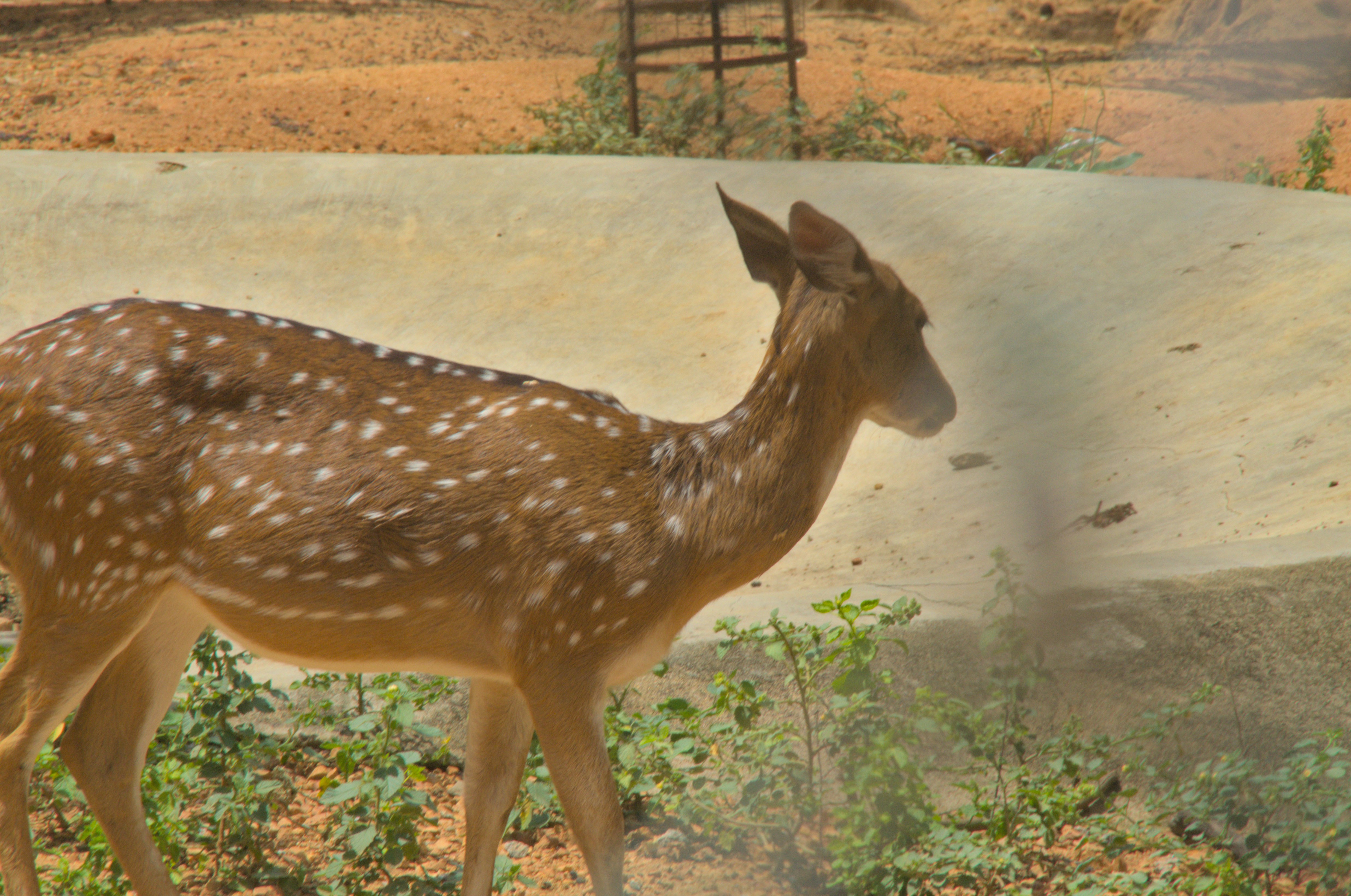 Photo by karthikb23