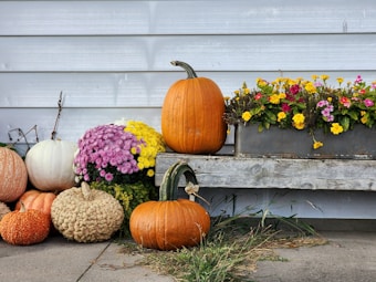 A rustic outdoor scene featuring a variety of pumpkins and colorful flowers. The pumpkins range in size and texture, with some being smooth and others warty. They are placed on a concrete surface against a wooden background. A flower planter on a wooden bench contains vibrant yellow, pink, and red blooms, adding a pop of color. The setting gives off an autumnal, festive vibe.