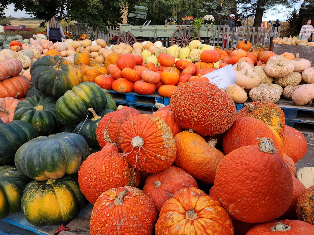 a pile of pumpkins and gourds sitting on a table