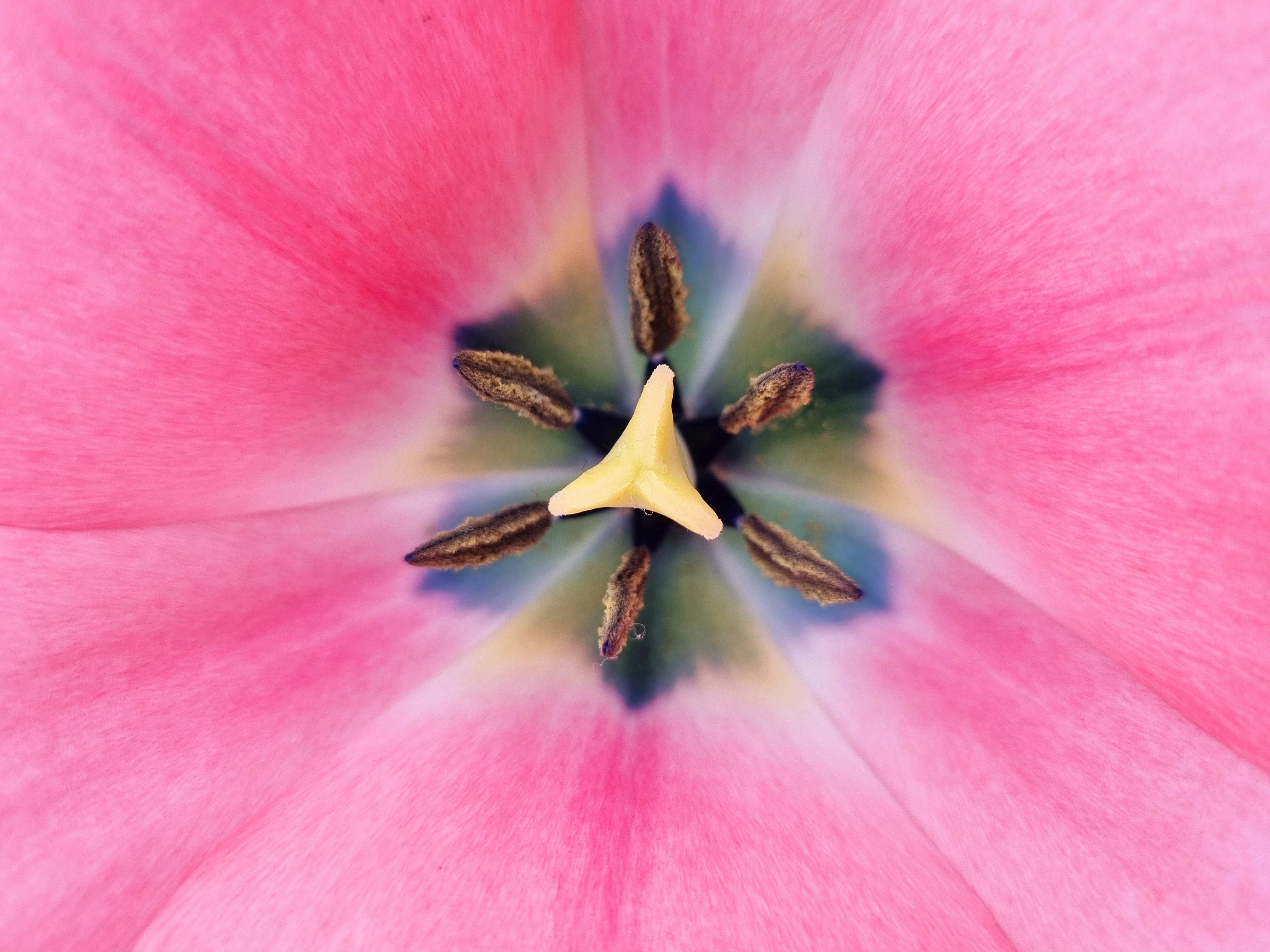 Photo by deibrinkjansen