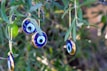 Hanging on the branches of a tree are several blue and white glass charms with eye motifs, traditionally known as 'evil eye' talismans. The surrounding foliage is green and lush, creating a natural and serene backdrop.