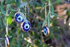 Hanging on the branches of a tree are several blue and white glass charms with eye motifs, traditionally known as 'evil eye' talismans. The surrounding foliage is green and lush, creating a natural and serene backdrop.