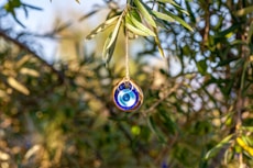 a glass ornament hanging from a tree branch