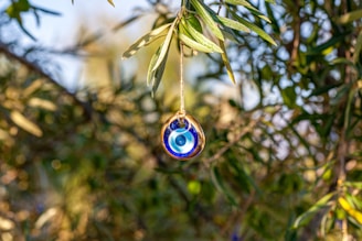 a glass ornament hanging from a tree branch