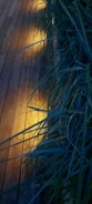 Softly lit pathway with natural wood planks leading to the pool, bordered by lush greenery.