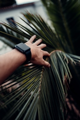 A hand reaching out to touch a palm leaf, with the background slightly blurred. The person is wearing a black smartwatch.