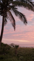 Sunset over a tropical beach with palm trees swaying to distant music.