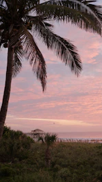 A cozy beachfront cottage with palm trees swaying gently nearby at sunset.