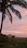 A man gazing at a sunset over a beach with palm trees swaying gently.