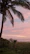 A man gazing at a sunset over a beach with palm trees swaying gently.