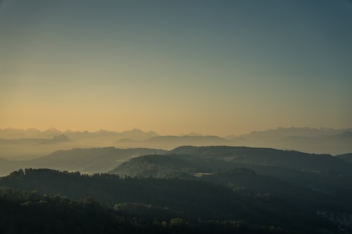 A serene landscape of rolling hills at dawn with soft light.