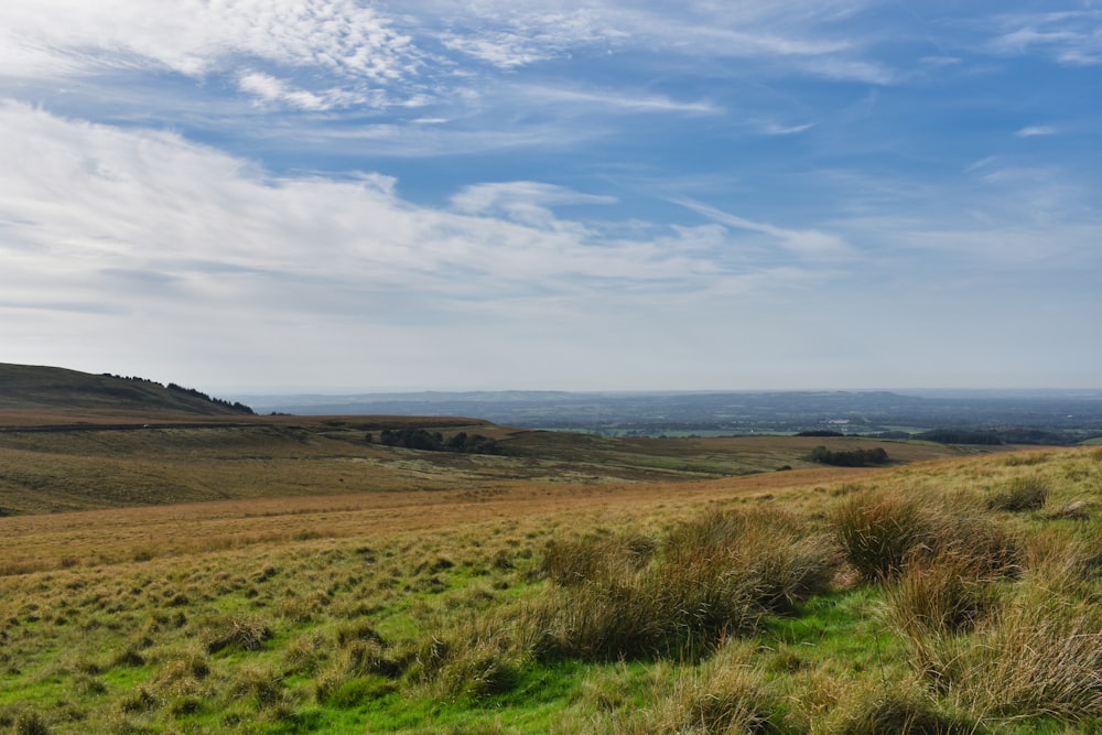 a grassy field with a blue sky in the background