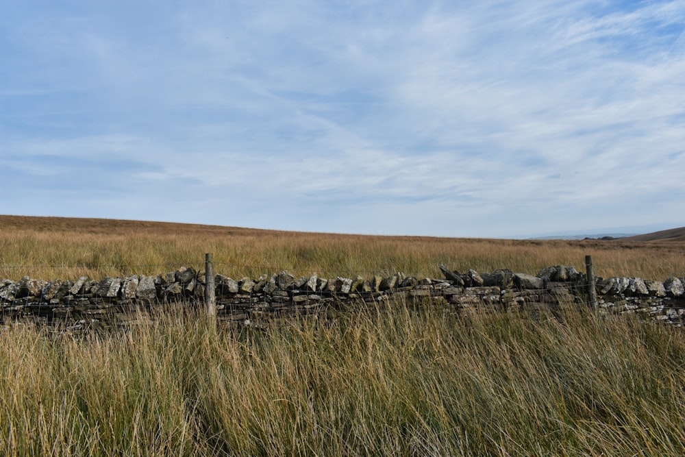 a dry stone wall in a grassy field