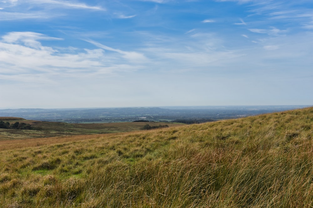 a grassy hill with a blue sky in the background