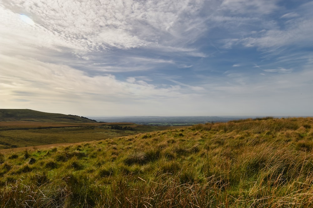 a grassy hill with a blue sky in the background