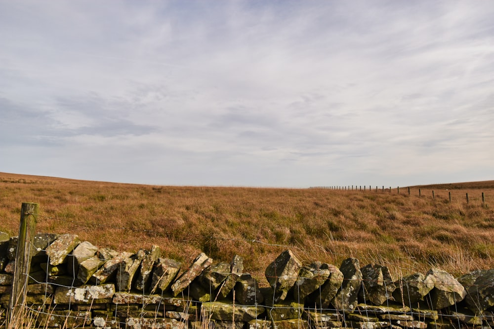 a field with a stone wall and a fence