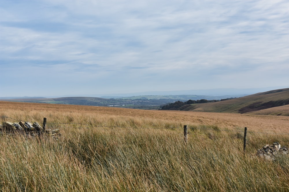 a grassy field with a wooden fence in the foreground