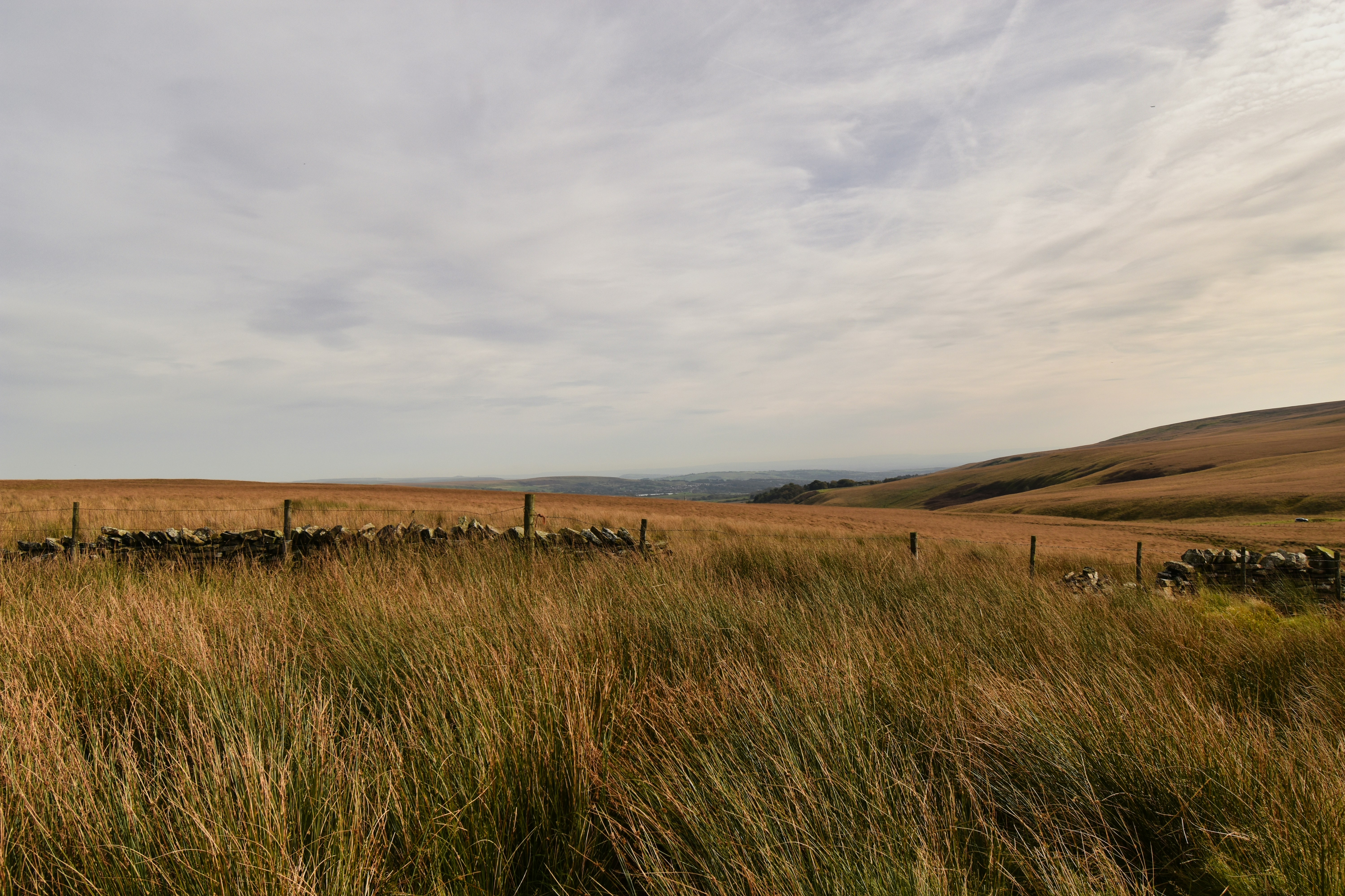 Photo by andrew_hall