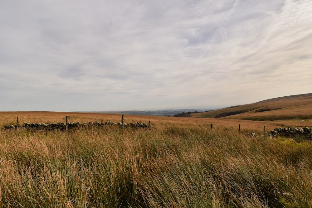 a grassy field with a fence in the middle of it