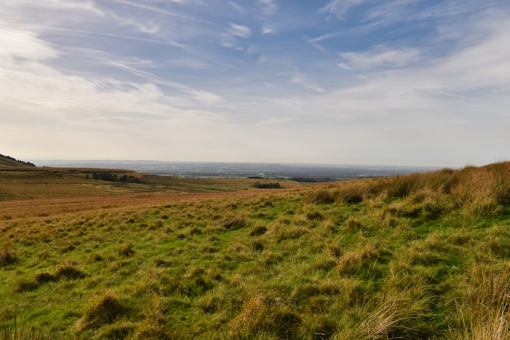 a grassy field with a hill in the distance