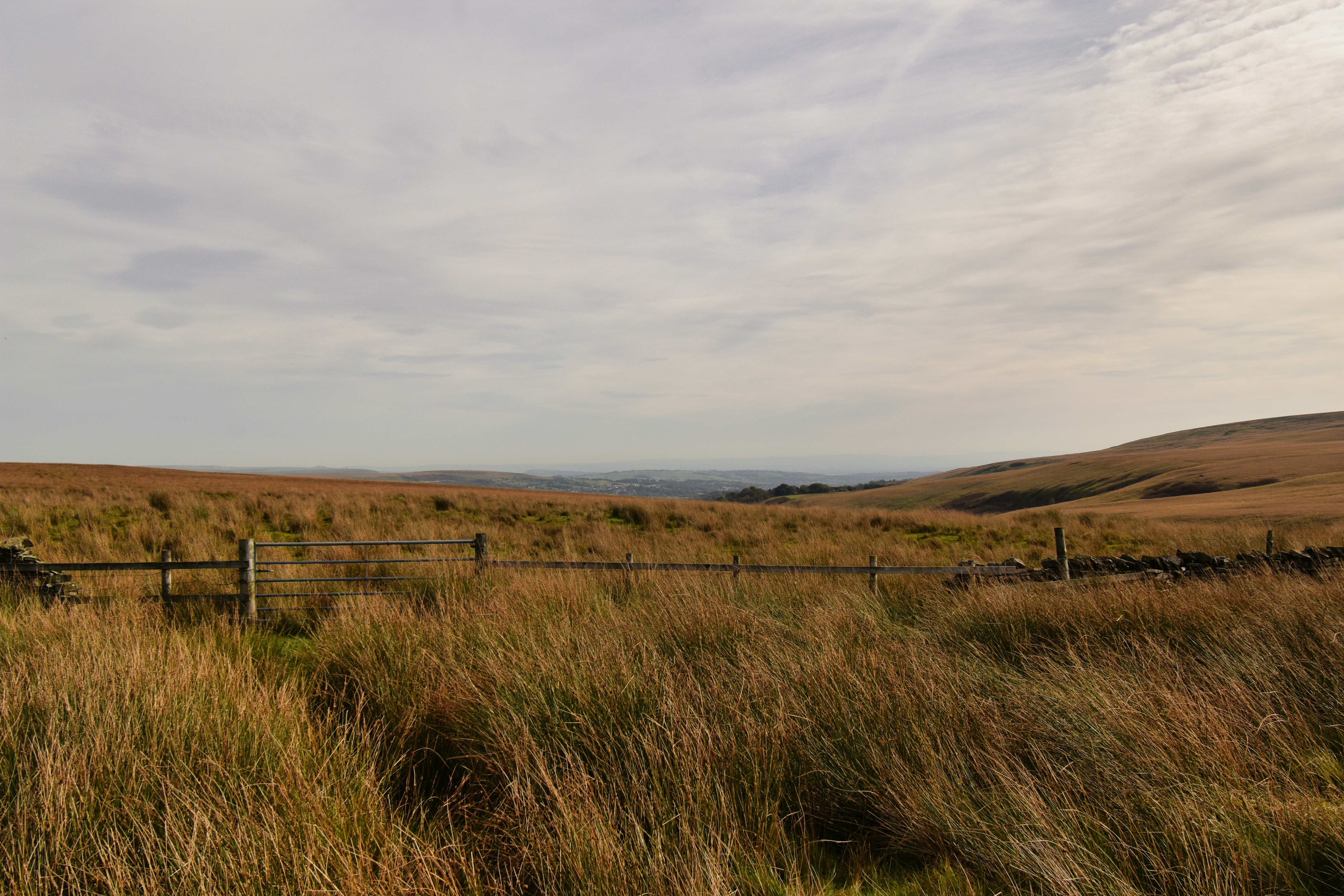 Photo by andrew_hall