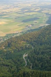 Aerial view of a lush agricultural landscape with fields and forests.