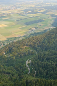 Aerial view of a lush agricultural landscape with fields and forests.