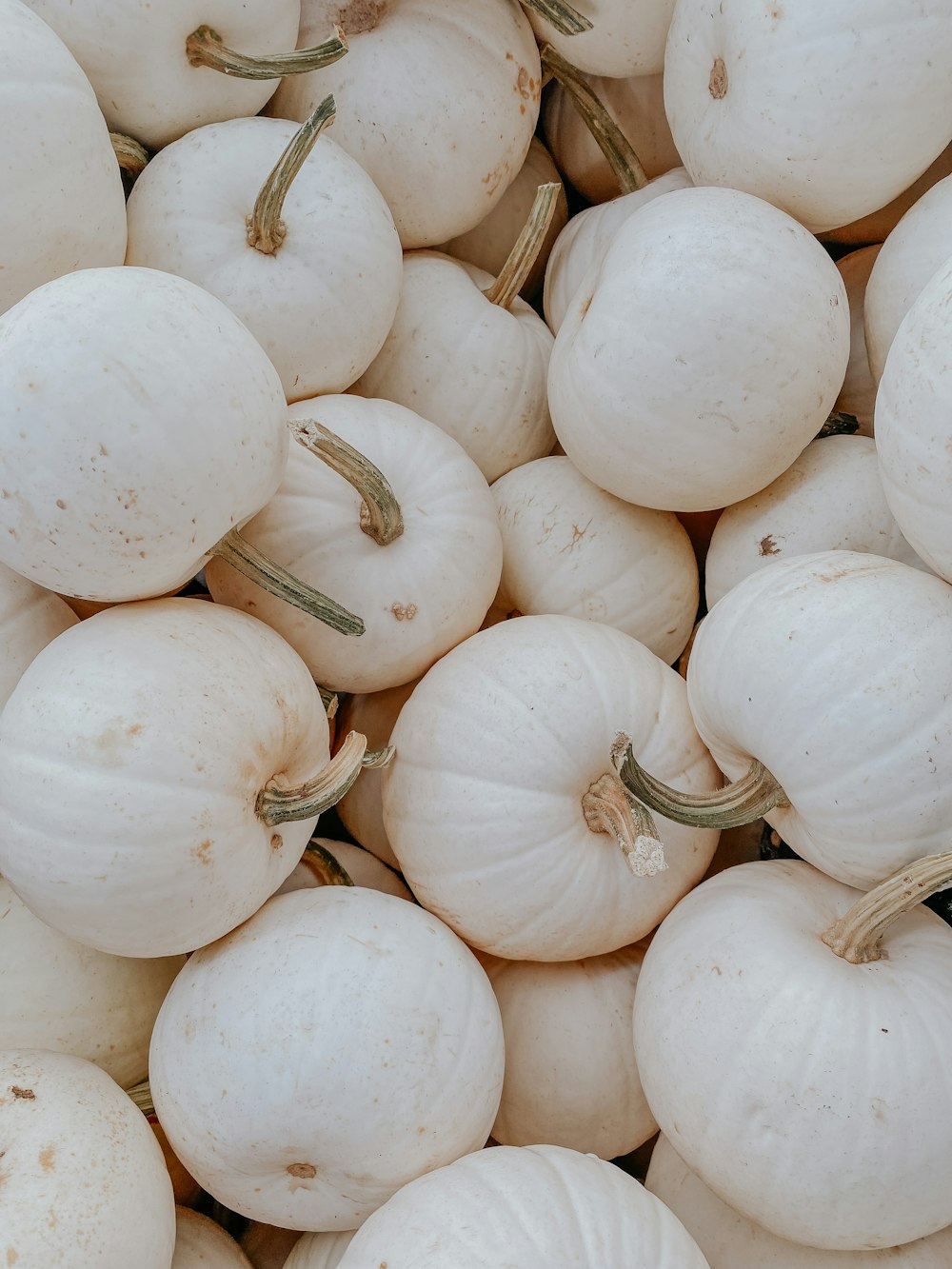 a pile of white onions sitting next to each other