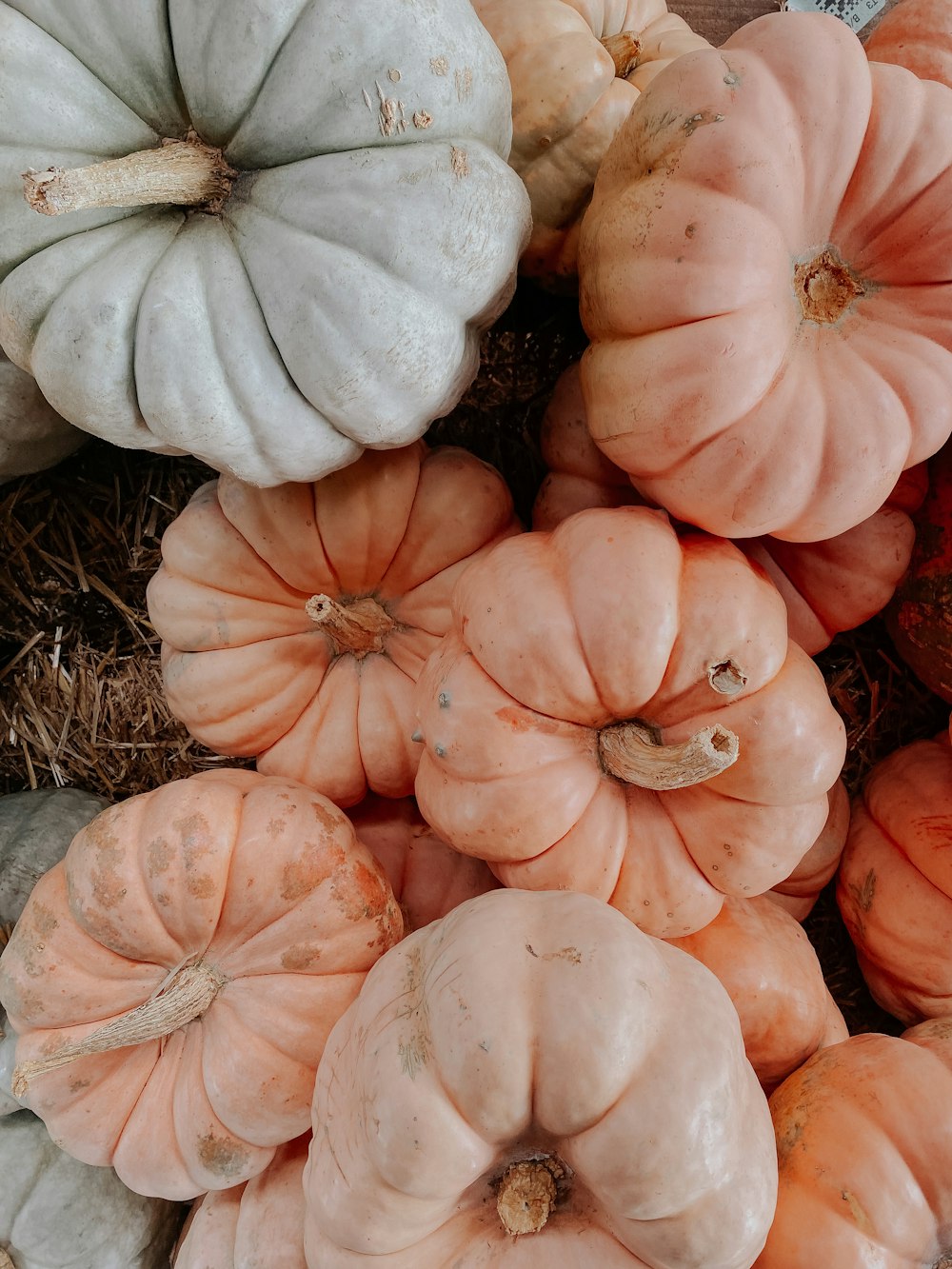 a pile of pumpkins sitting on top of a pile of hay