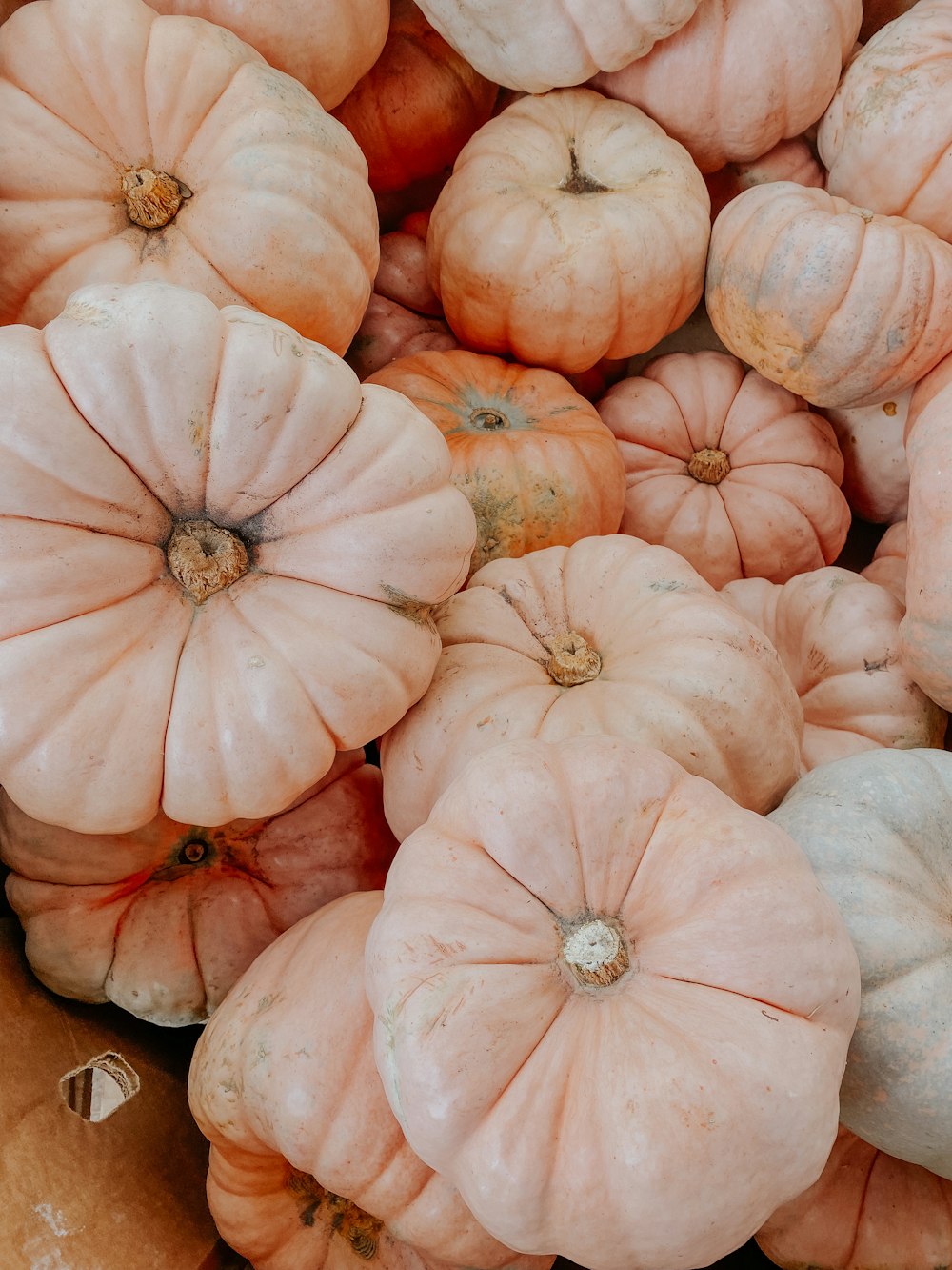 a large pile of pumpkins sitting on top of each other