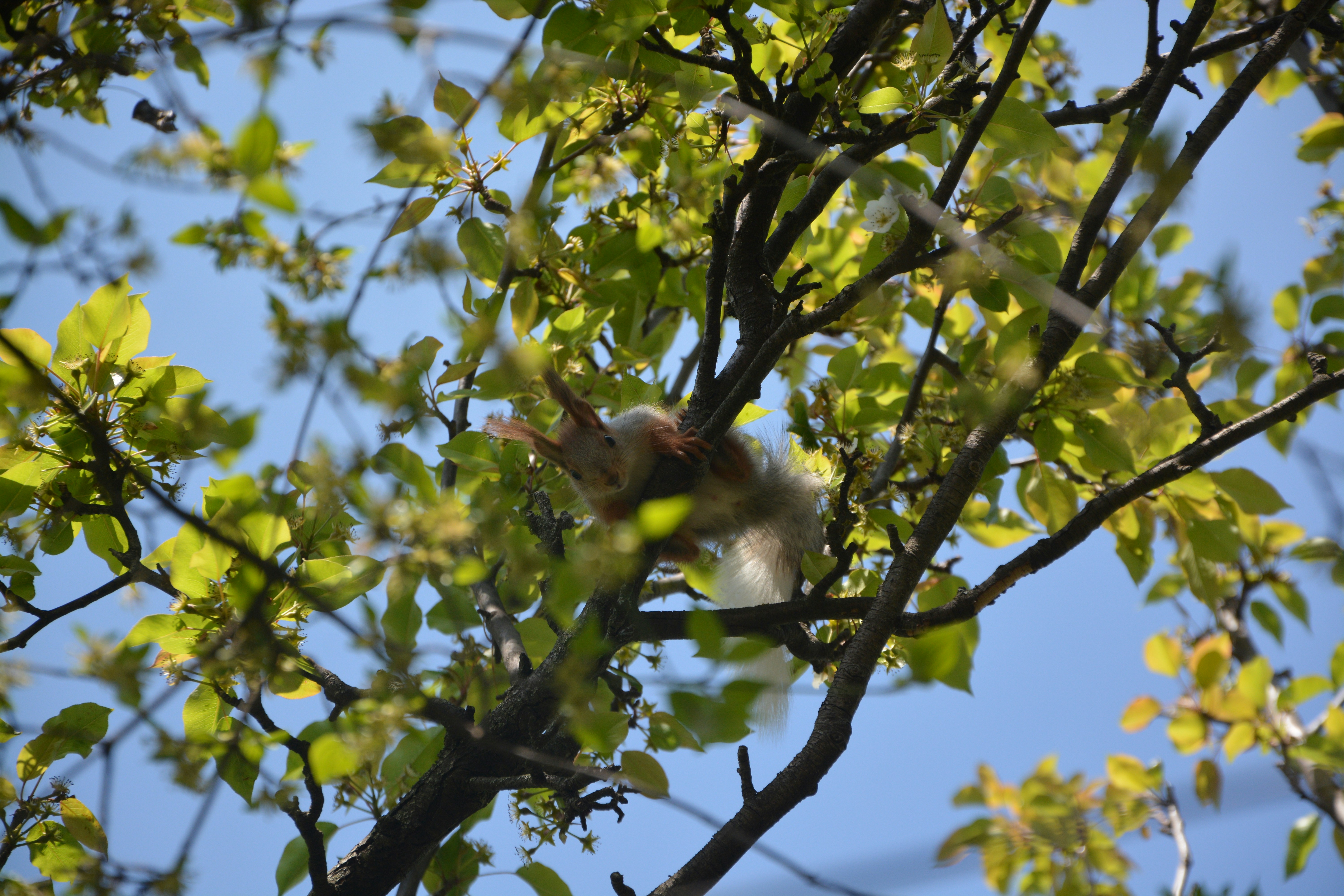 Photo by ekotavkhelidze