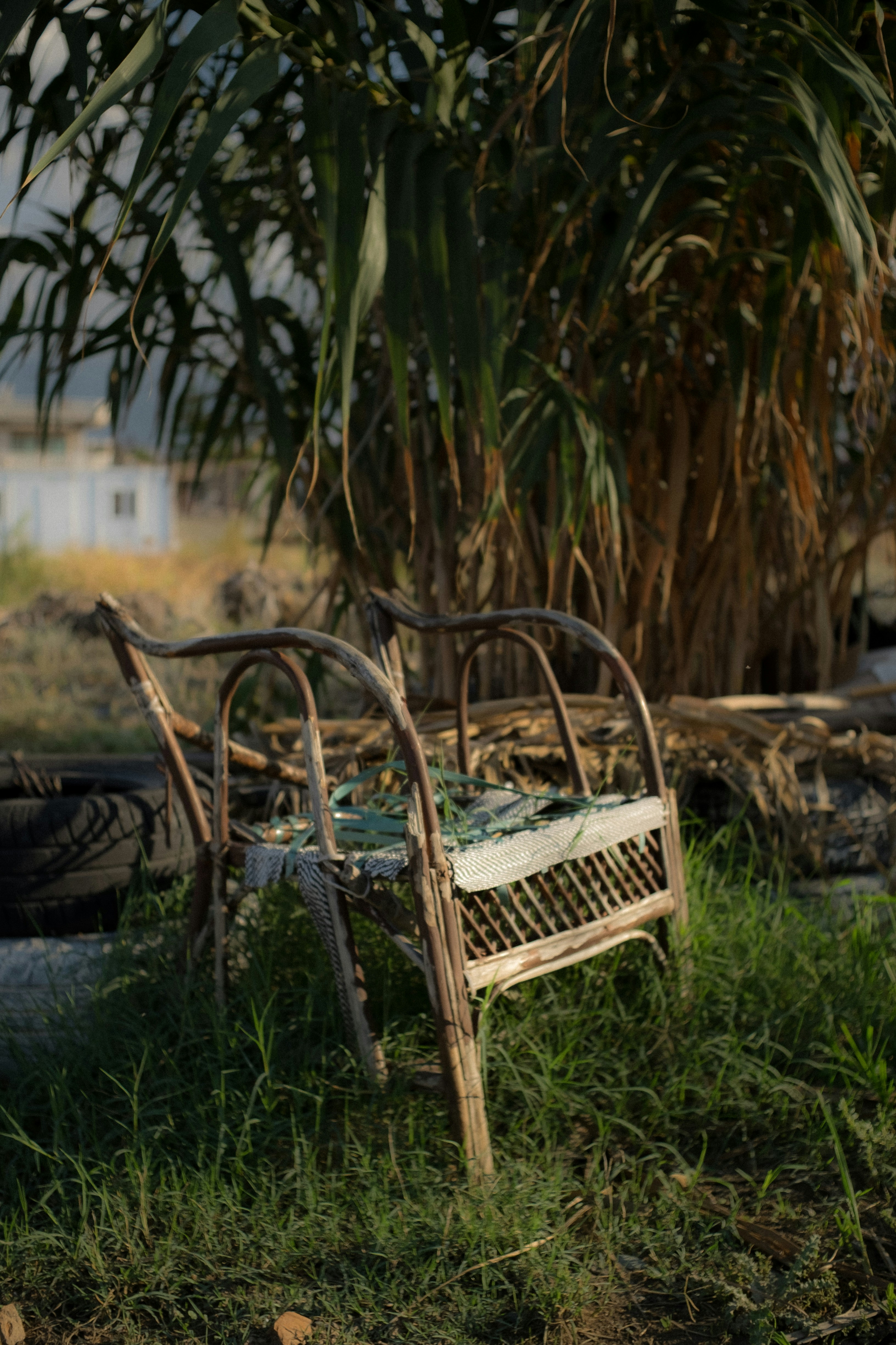 Photo by burakberkay