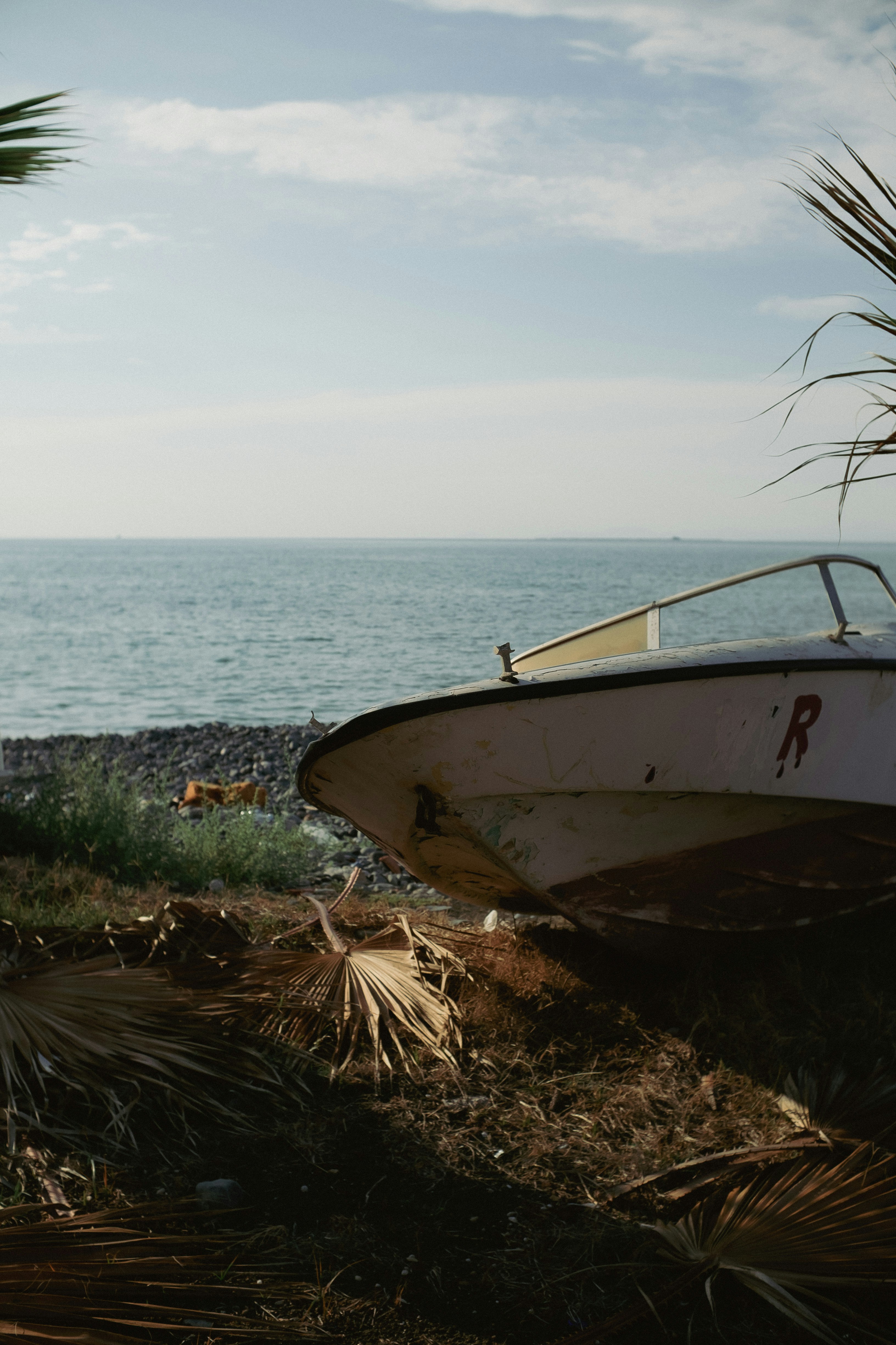 Photo by burakberkay