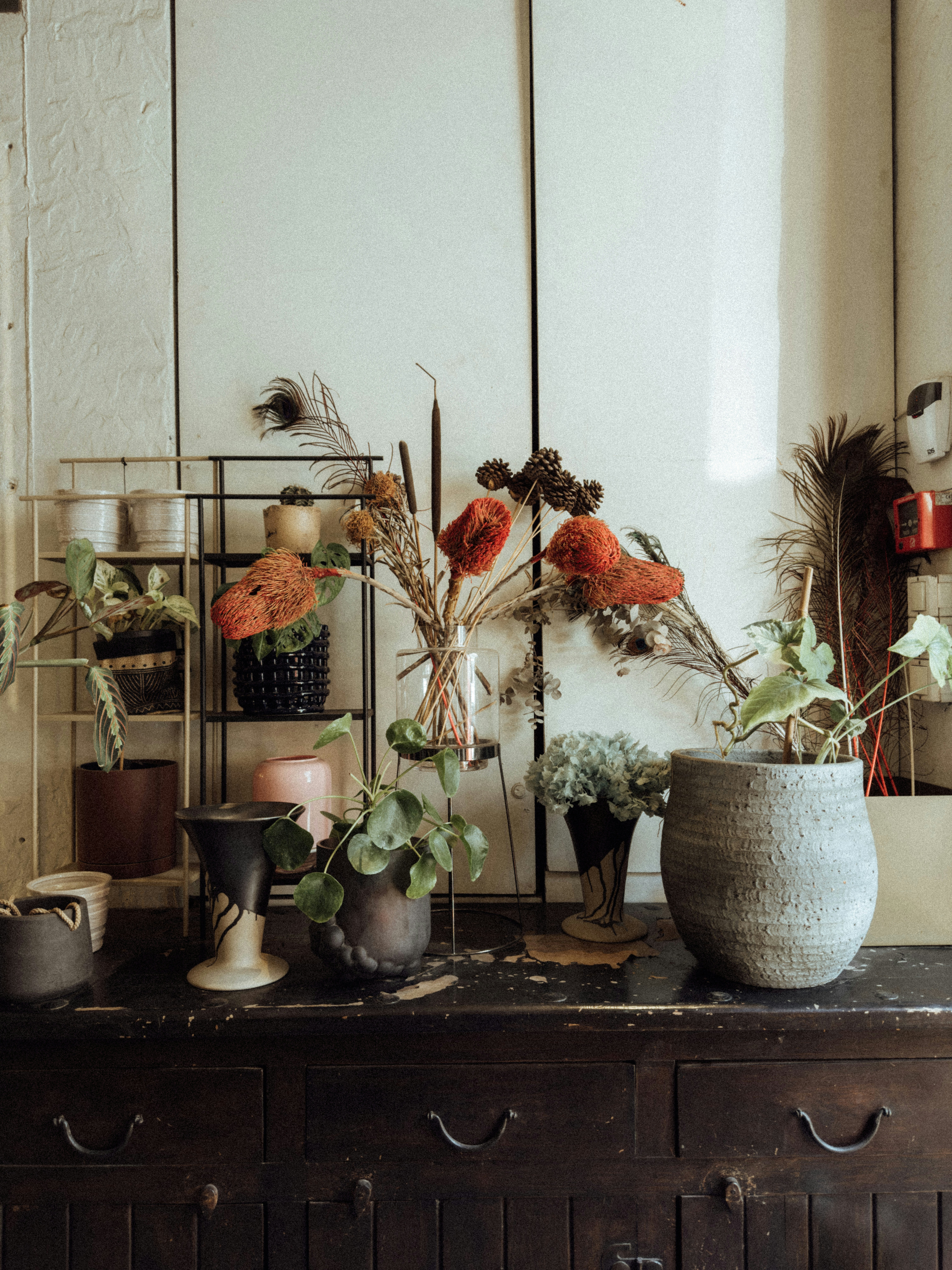 Photo by christinaterzidou