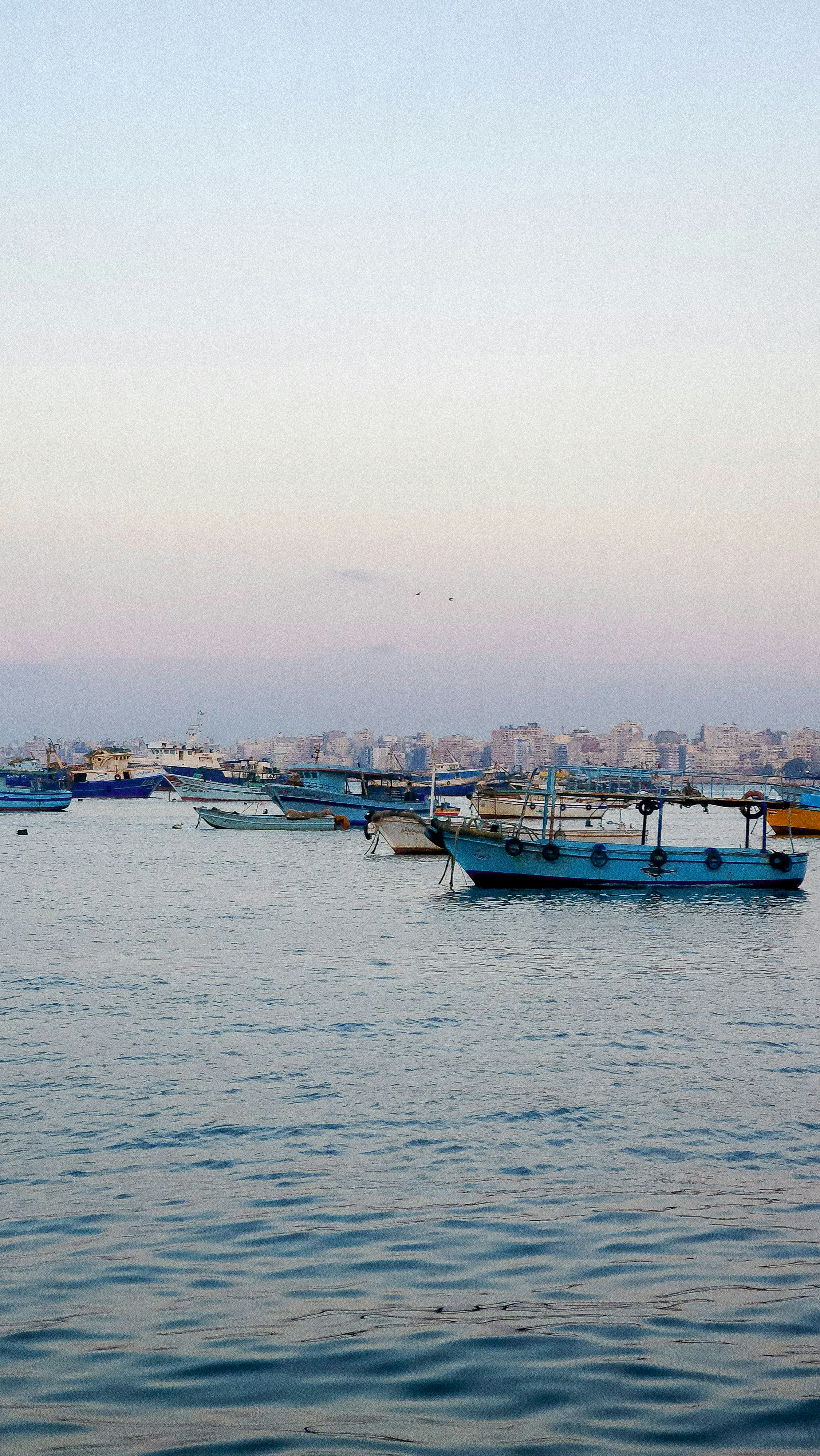 Photo by canismajoris