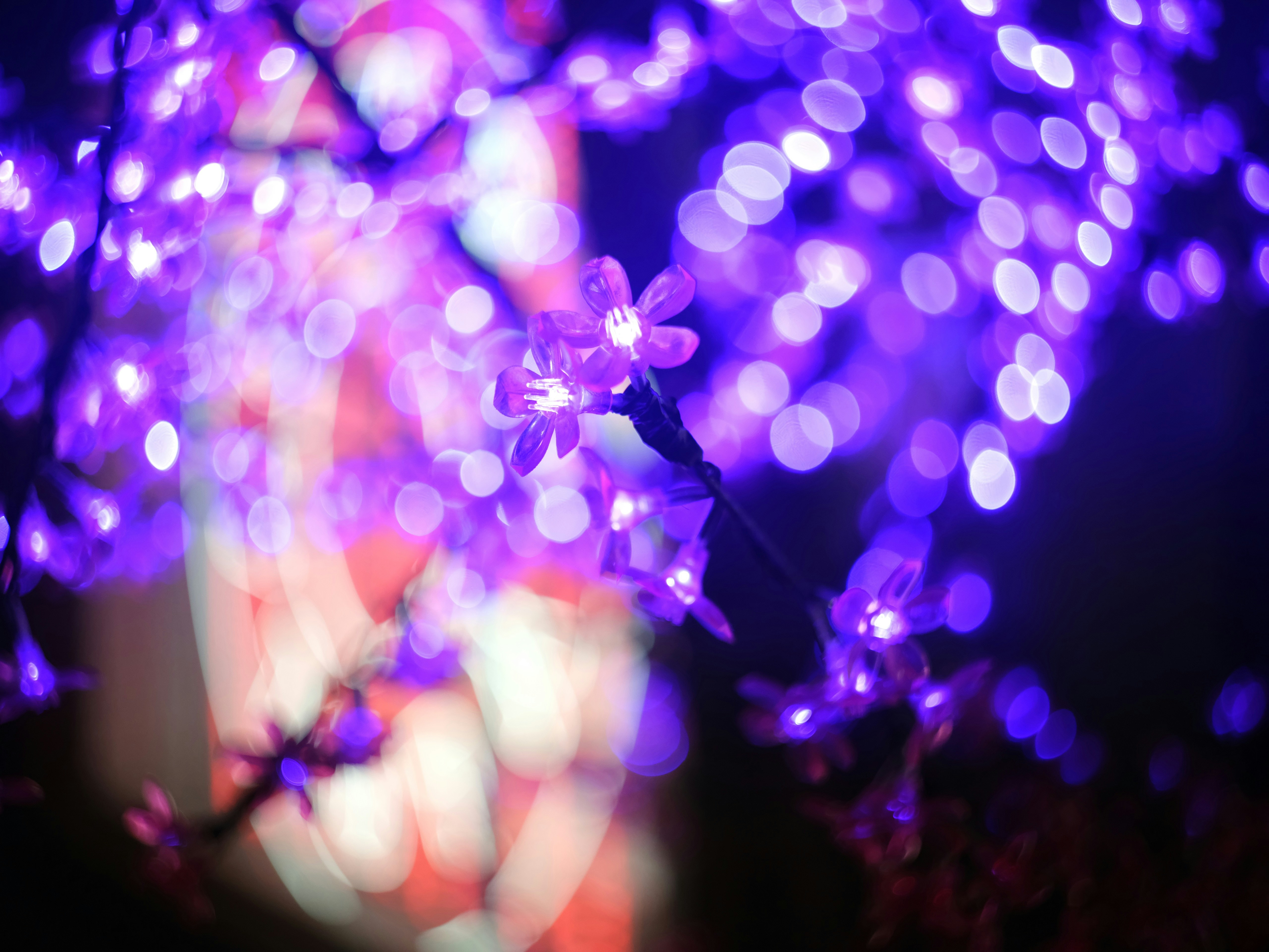 a bunch of lights that are on a tree