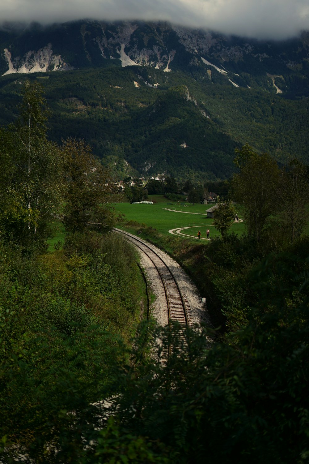 a train traveling through a lush green countryside