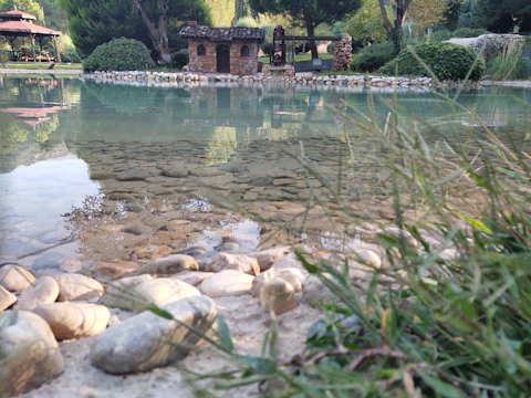 A serene ornamental pond surrounded by lush greenery and natural stones.