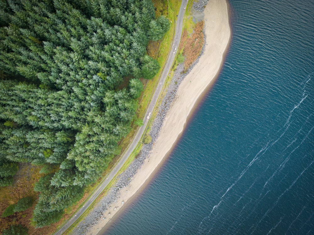 an aerial view of a beach and a body of water