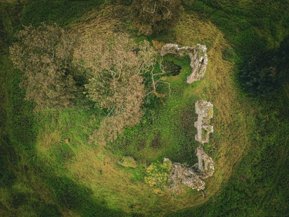 an aerial view of a grassy area with trees