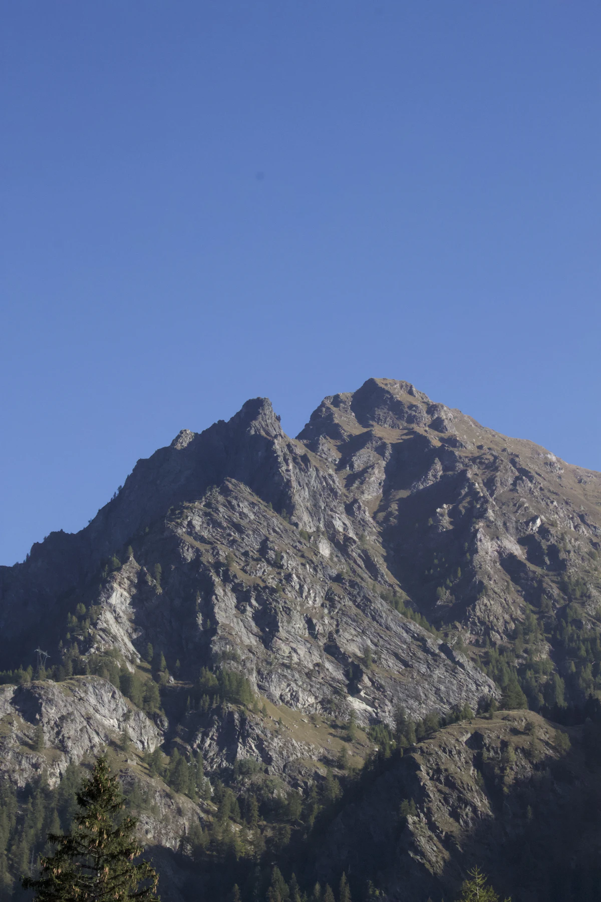 A rocky peak above fir trees at Gressoney-La-Trinité, against a clear blue sky
