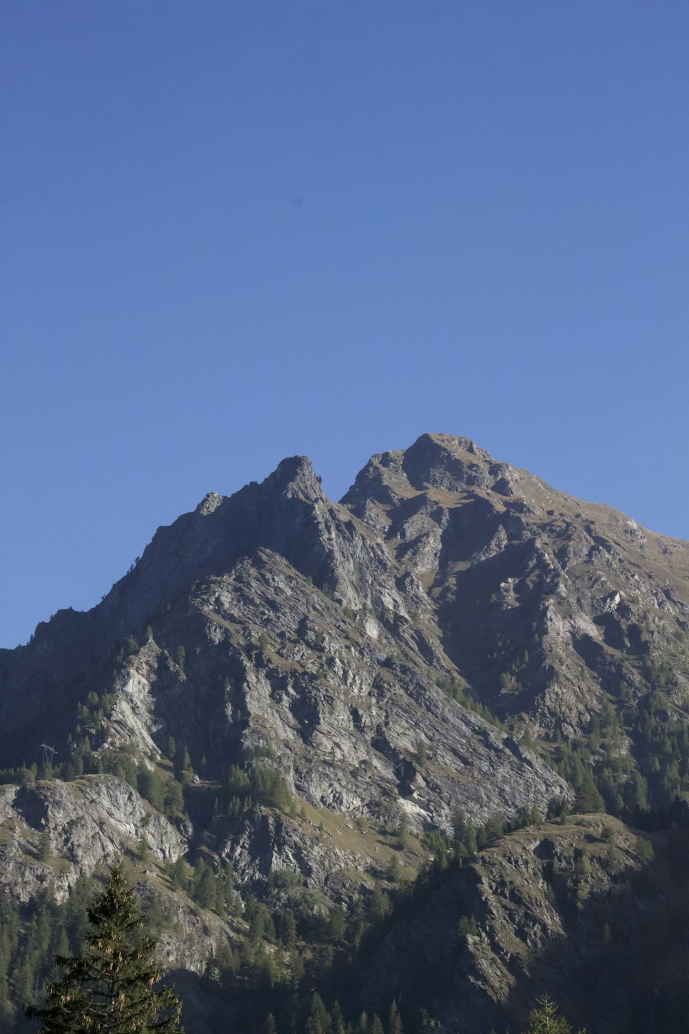 a large mountain with trees on the side of it